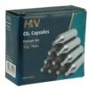 H&N CO2 Kapseln 10 Stück a 12g